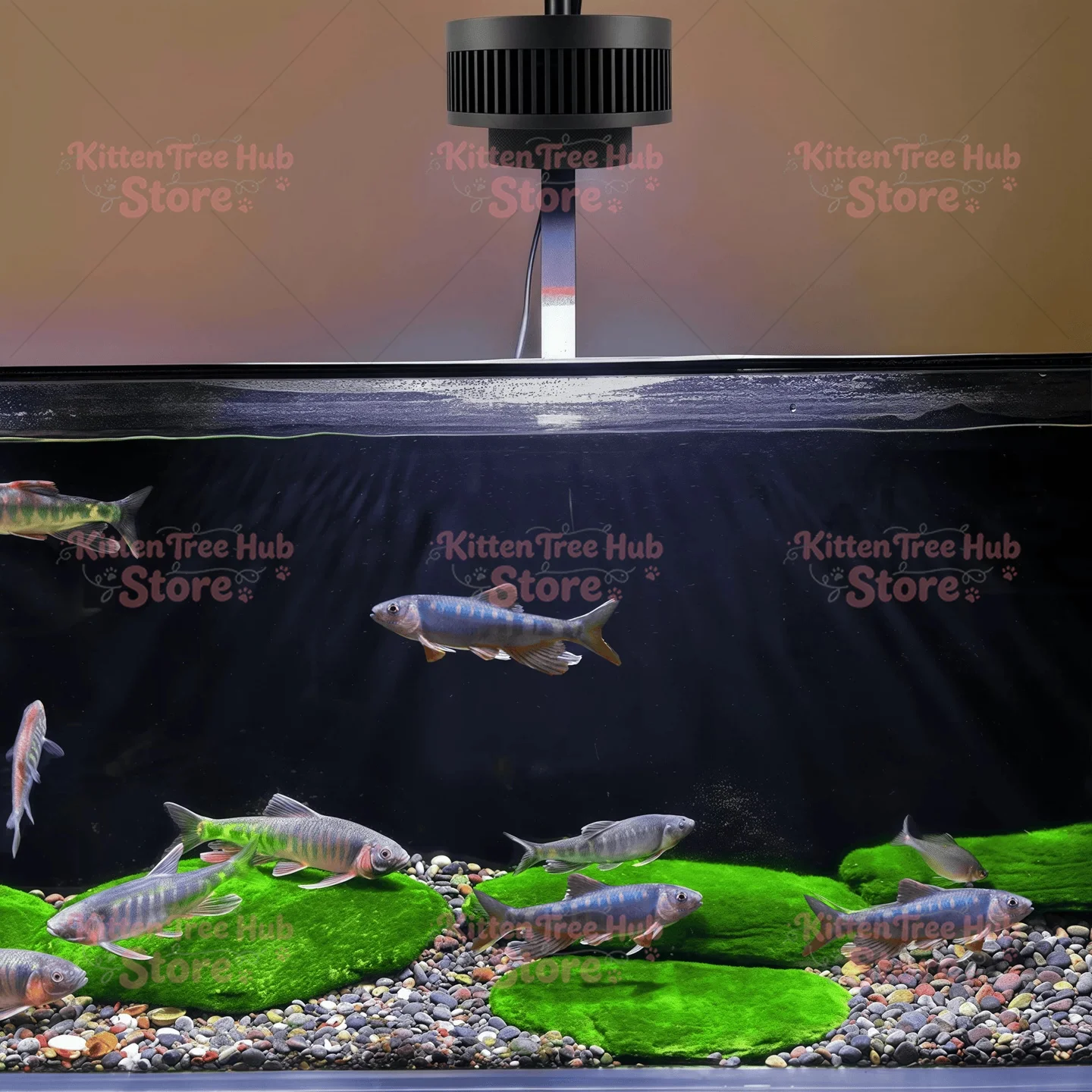 Zamanlayıcılı Akvaryum Lambası - Planted Aquarium Algae Control incelemesi ve fiyatı