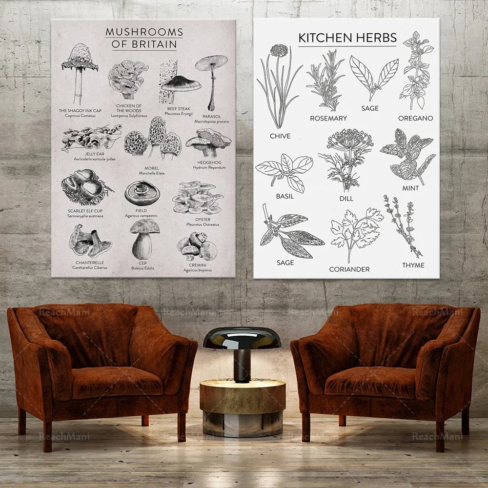 Kitchen herbs poster, food art, UK mushroom print foraging, fungi poster