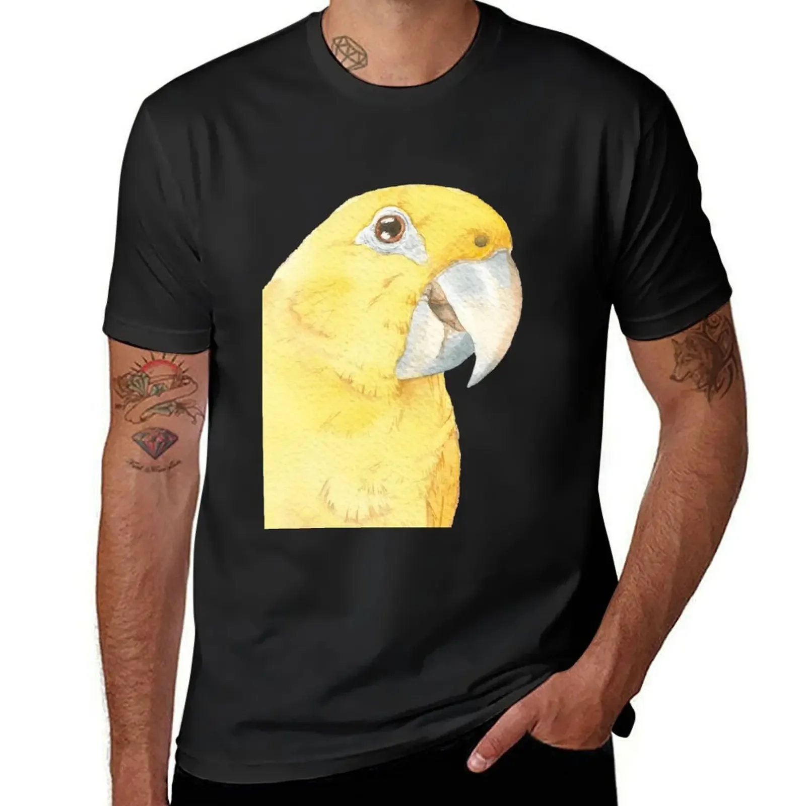 golden conure watercolor ararajuba painting T-Shirt anime clothes plus size clothes t shirt men