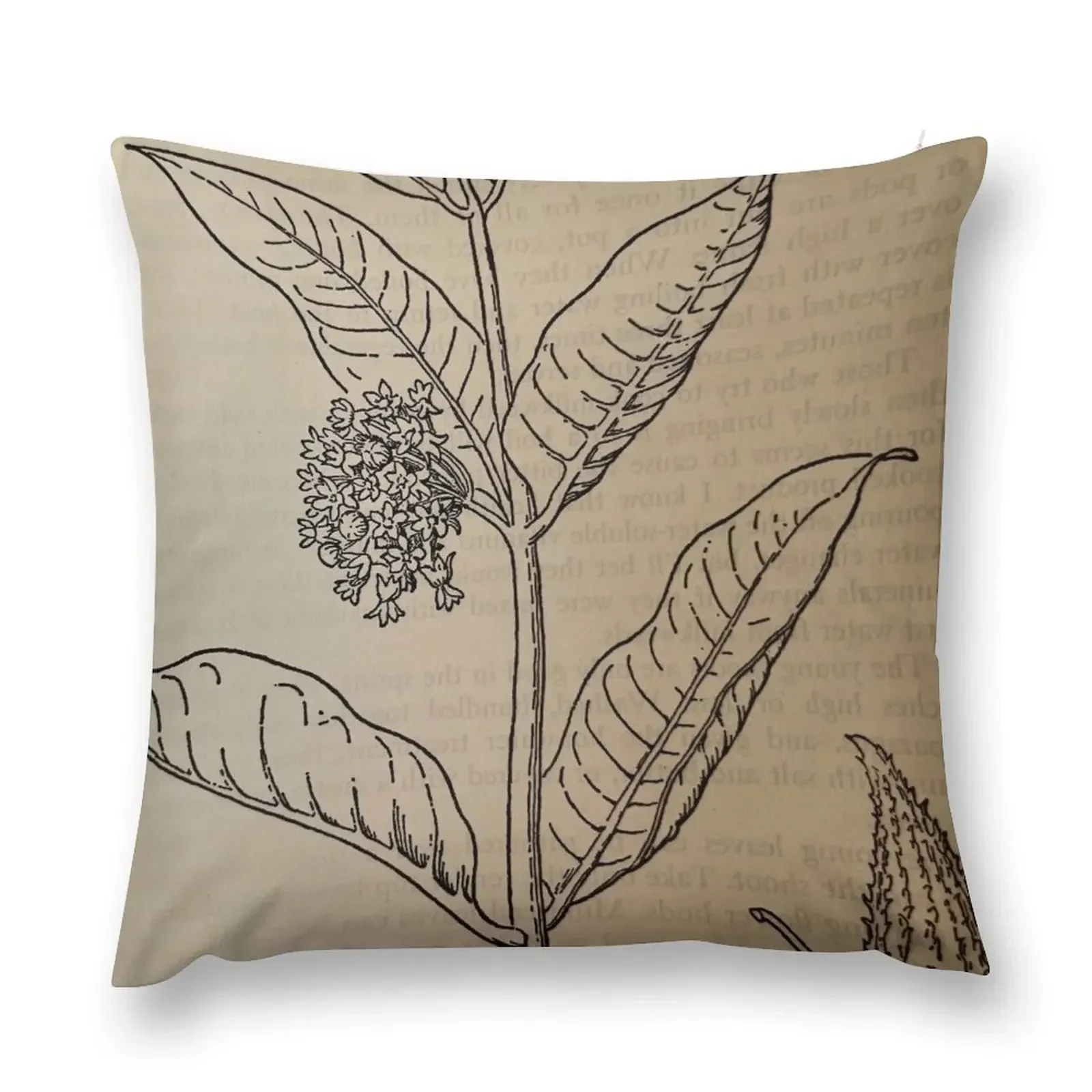 Vintage Picture of Milkweed Throw Pillow Sofa Cushion luxury throw pillow covers Cushions For Sofa pillow