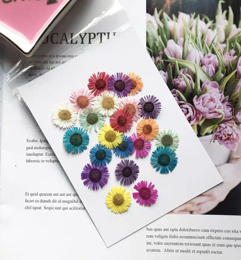 1 Ensemble de fleurs séchées p - Dried Flower Bookmark avis et prix