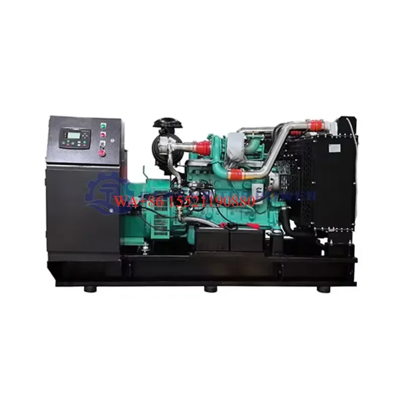 WMWMNU 20kw Small Multi Fuel Generator Set for Farm Use Biogas Syngas Biomass Gas Remote Start Electric Generator Price for