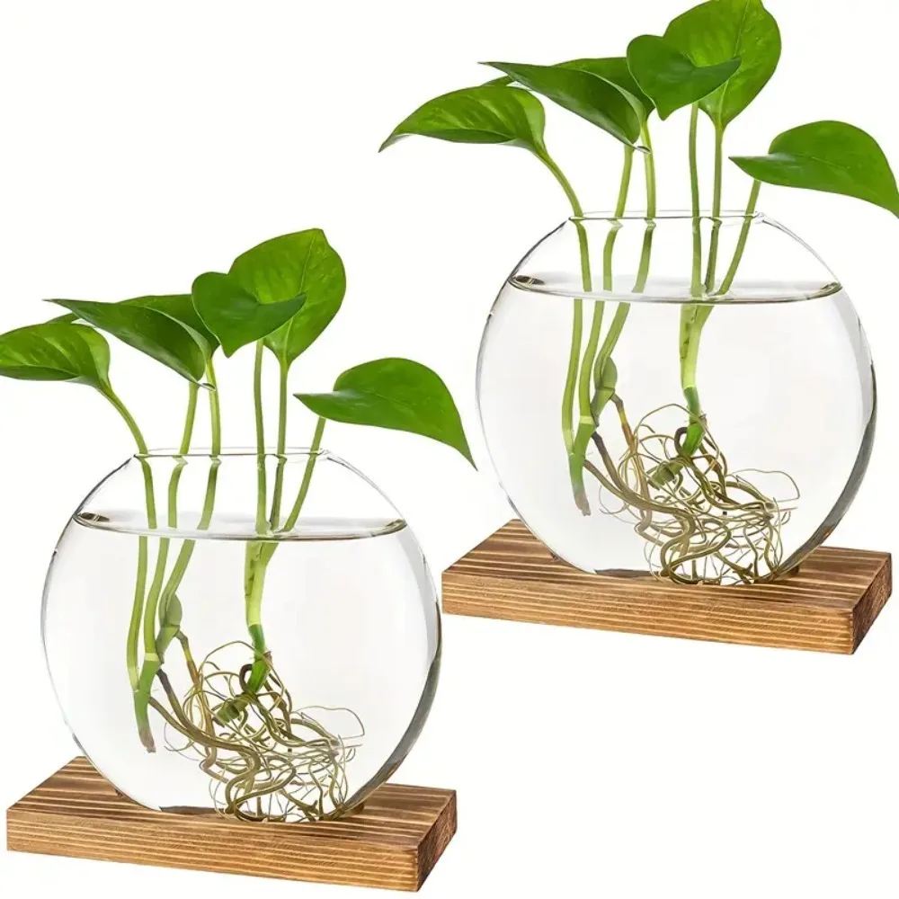 Elegant Round Glass Planters with Wooden Stand for Hydroponic Plants Small Propagations Home Office Decor Tabletop Accessory