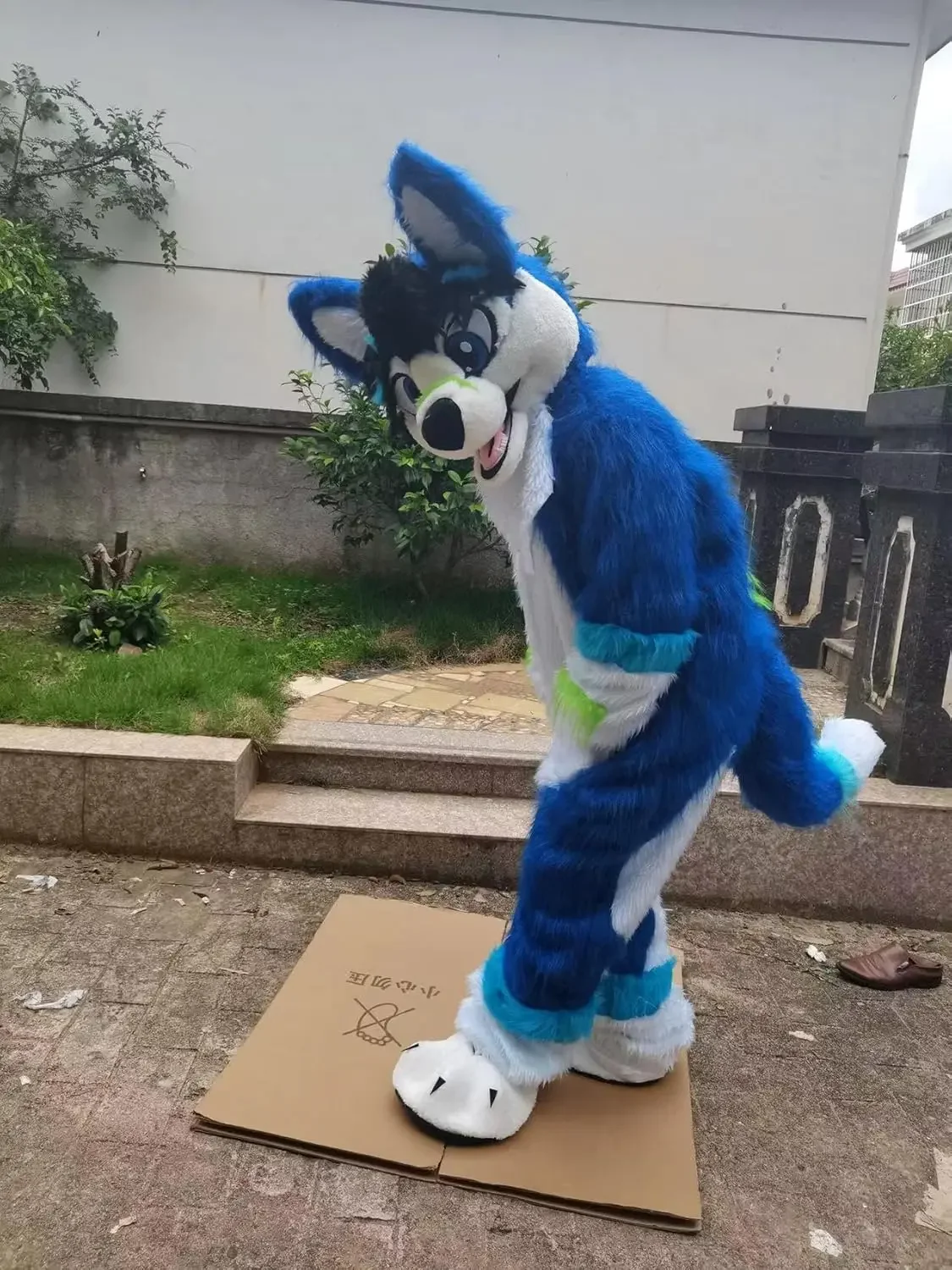 

Blue White Long Fur Husky Fursuit Fox Dog Wolf Mascot Costume Furry Suits Cartoon Doll Outfits Halloween Christmas Fancy Dress