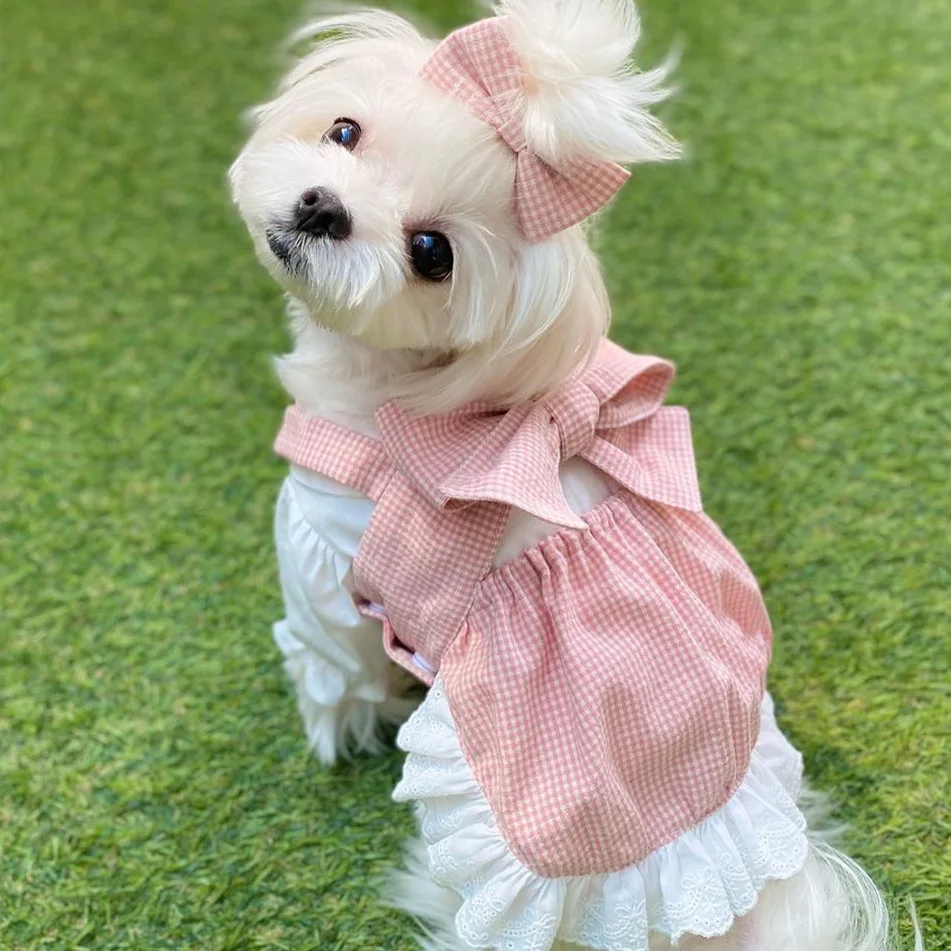 Fashion INS Designer Dog Fashion Princess Pink Grid Bow Tie Suit Skirt Lace Tie Dog Skirt Cute Comfortable Shirt For Small Dogs