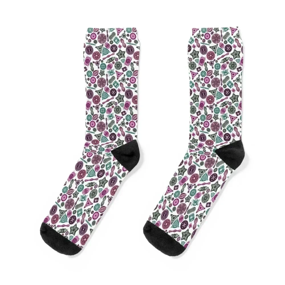 Ernst Haeckel Teal Diatoms Tossed in Pinks and Greens Socks designer brand Lots Christmas Socks Men Women's