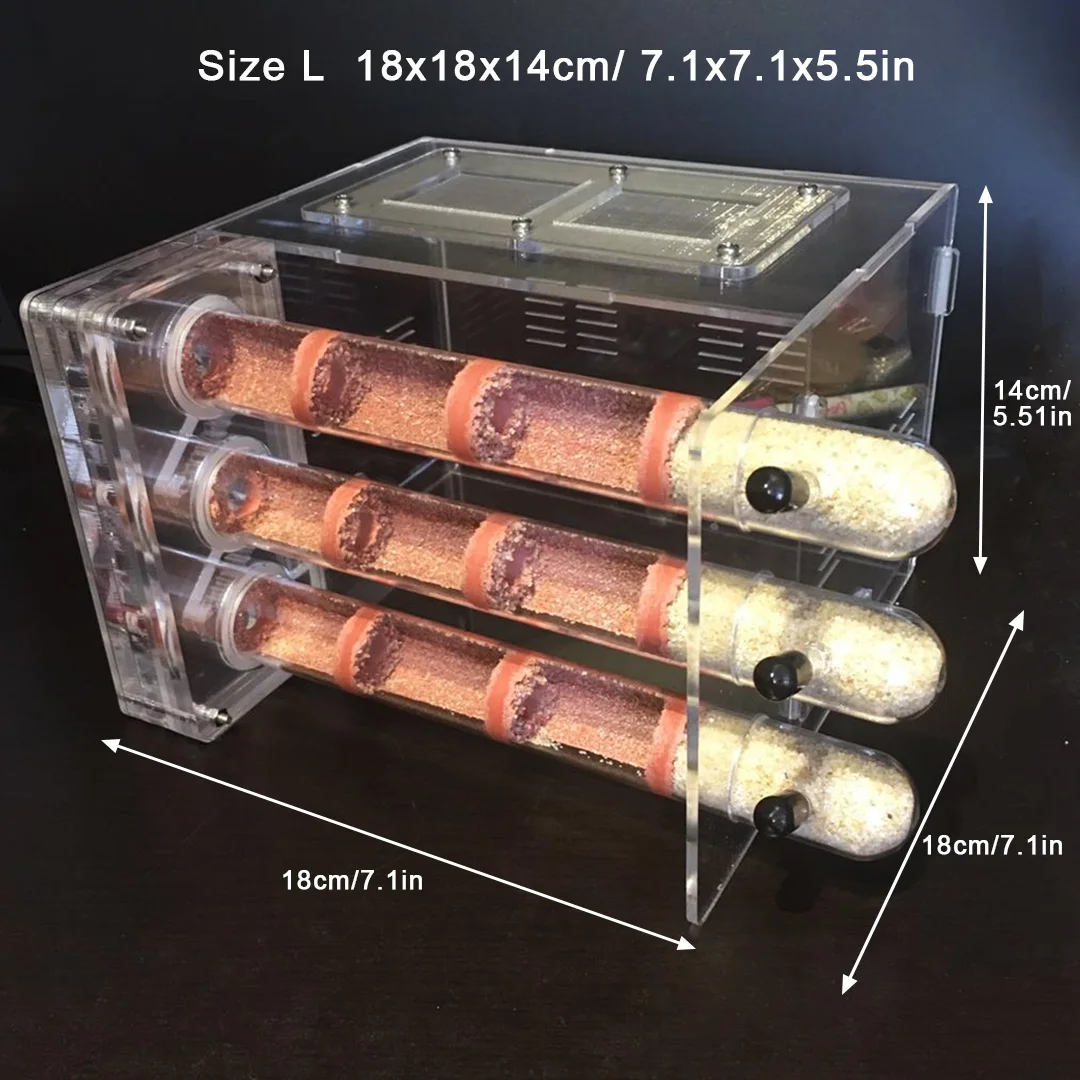 Imagem -04 - Diy Acrílico Bambu Tubo Ant Farm Ninho de Formiga Ecológica Oficina com Área de Alimentação Ant House para Pet Formigueiro Tubos 18x18x14cm