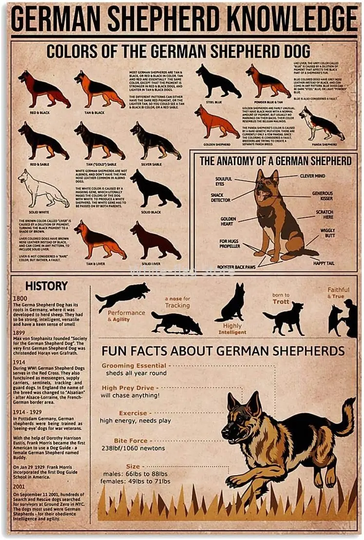 

German Shepherd Knowledge Metal Tin Signs German Shepherd Infographics Reading Posters Dogs Science Guide Plaques