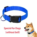 Blue dog collar