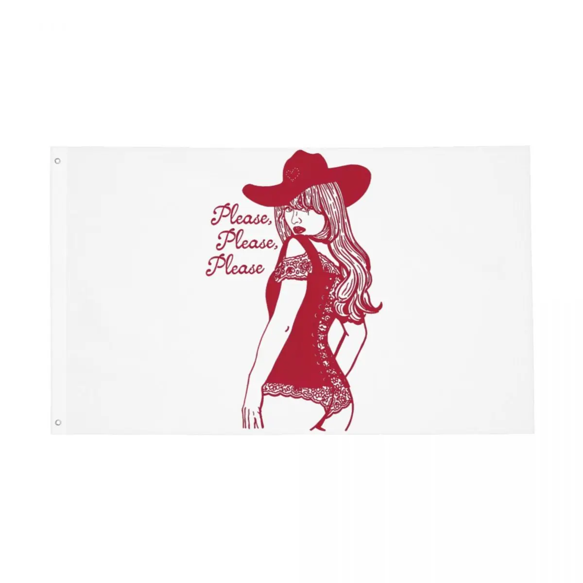 Sabrina Carpenter Please Please Please Flag Double Sided Indoor Outdoor Banner All Weather Home Room Dorm Wall Decor 90x150cm