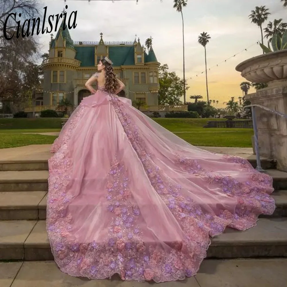 

Pink Princess Quinceanera Dresses with Long Sleeves 2023 Beaded 3D Floral Lace-up Corset vestidos para xv años