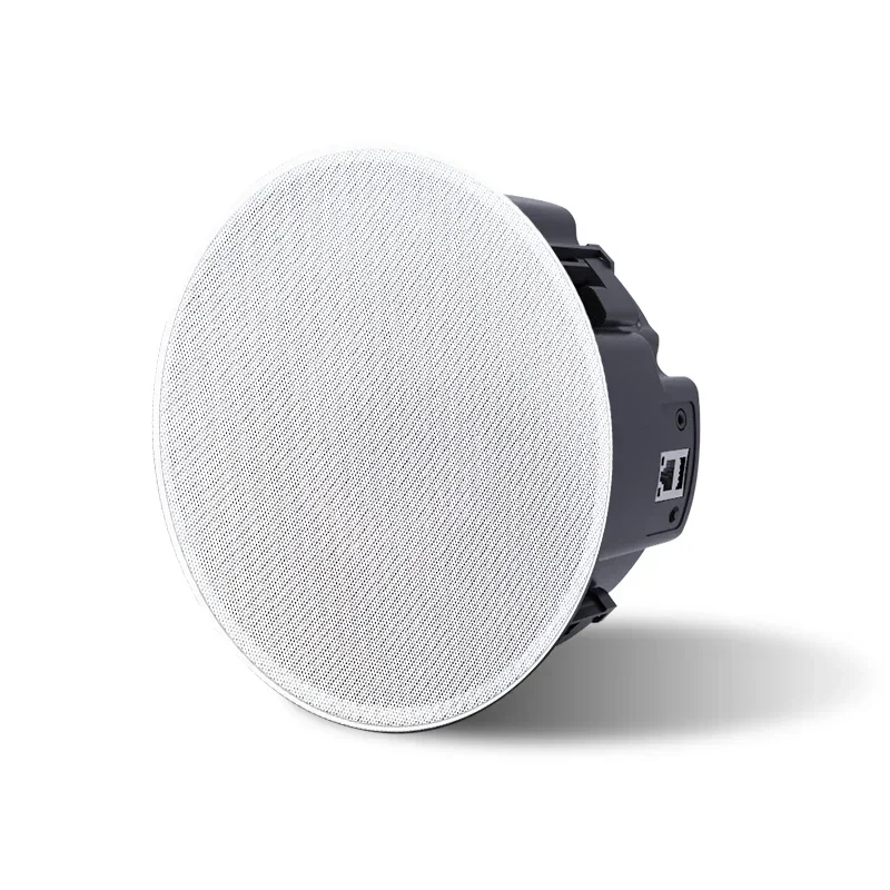 

Home Ceiling Speaker Built in Amplifier Audio System Support WiFi BT USB Multi-room playback in-ceiling Speakers