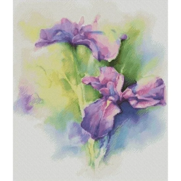 

Наборы для вышивания крестиком, нитки для вышивания на ткани Аида, набор для вышивания, цвет фиолетовый ирис 46-52