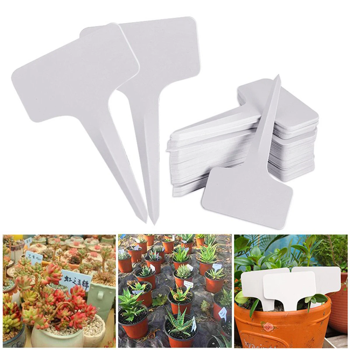 Marqueurs de plantes en plastique blanc PVC type T, 6x10cm, 50/100 pièces, pour pépinière, jardin, attro, semis, escalPots, décoration