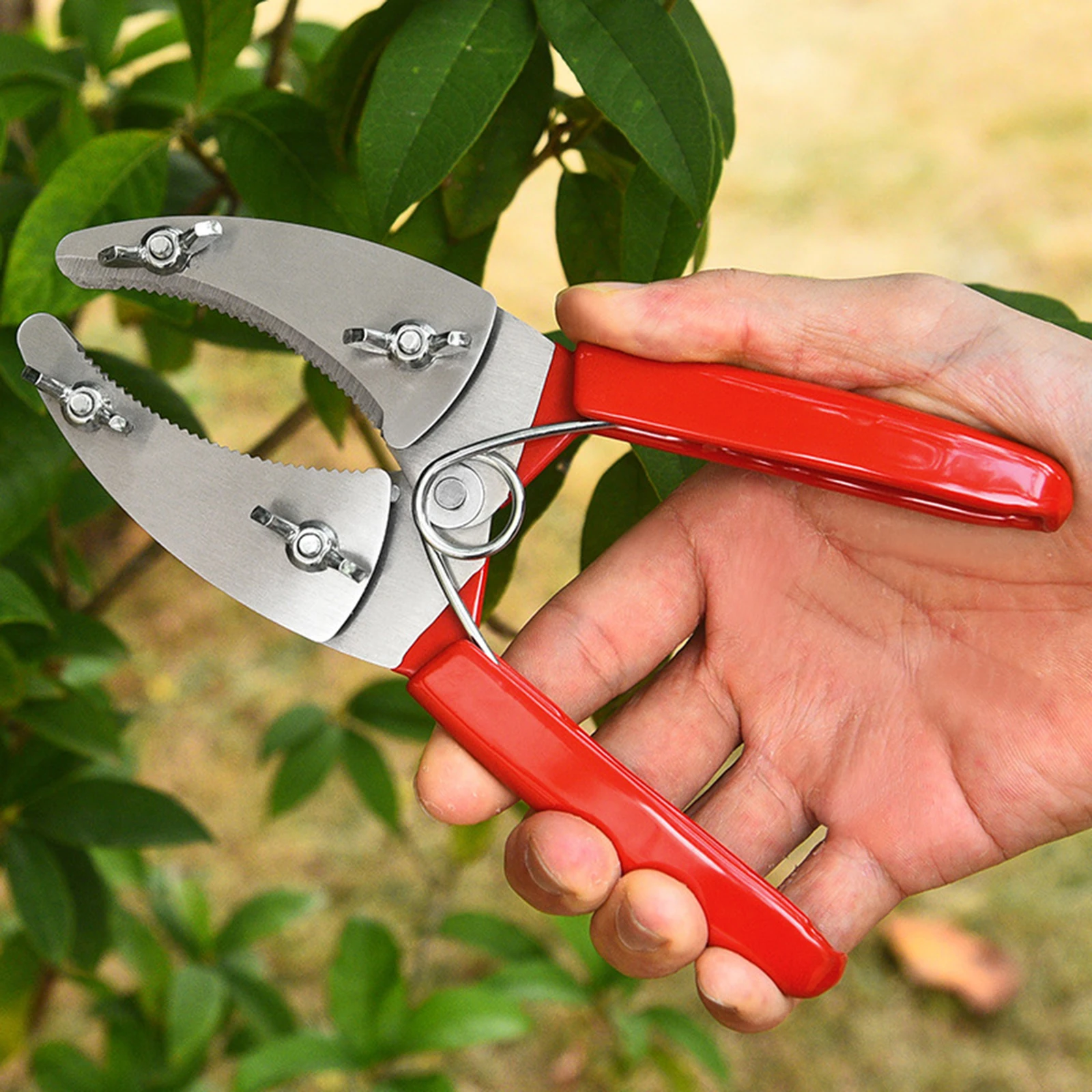 Grafting Cutting Tool Shears Fruit Tree Peeler For Garden Ring Shape Grafting Cutter Bark Stripping Cutting Stainless Steel Gard