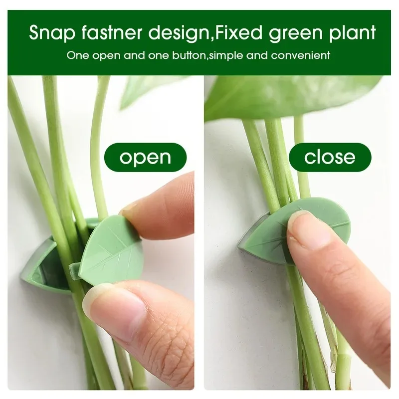 50/10 PCS Green Plant Fixator Finishing Clip Rattan Vine Fixed Buckle Leaf Clips Traction Holder Climbing Wall Nail-free Decal