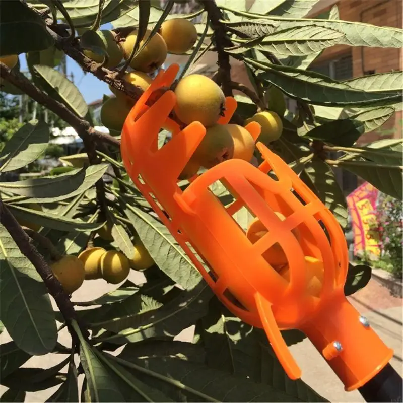 HX6C Garden Basket Fruit Frunt Sighters
