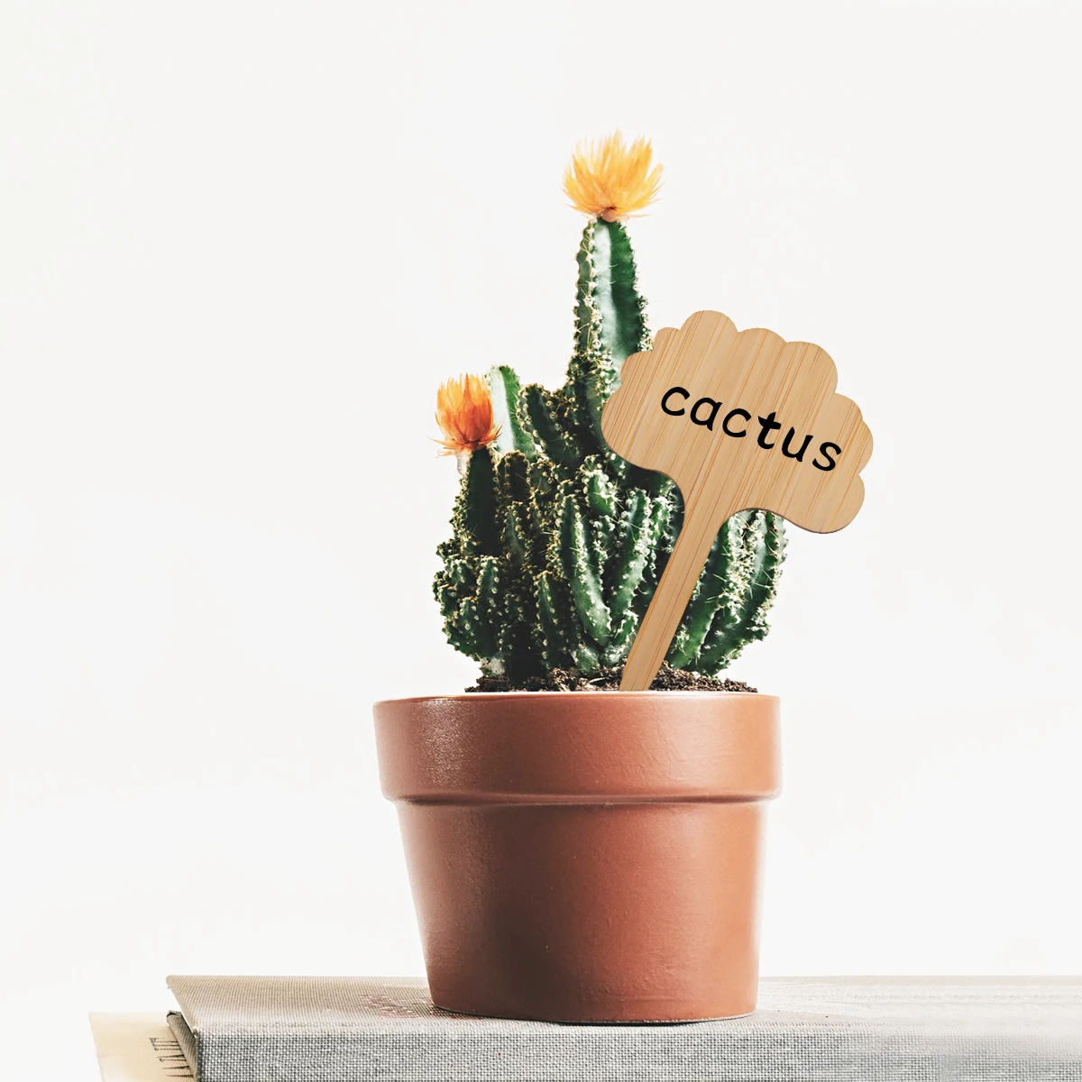 

20Pcs Bamboo Seedling Label Sign T Shape Easy Insertion Wood Color DIY Plant Tags for Garden Nursery Decors