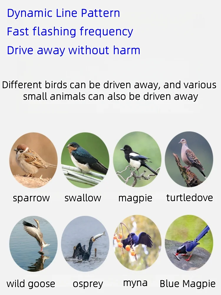 Picture 5: Factory-Equipped AI Image Recognition System Remote-Controlled Automatic Bird Deterrence Continuous Operation Animal Husbandry