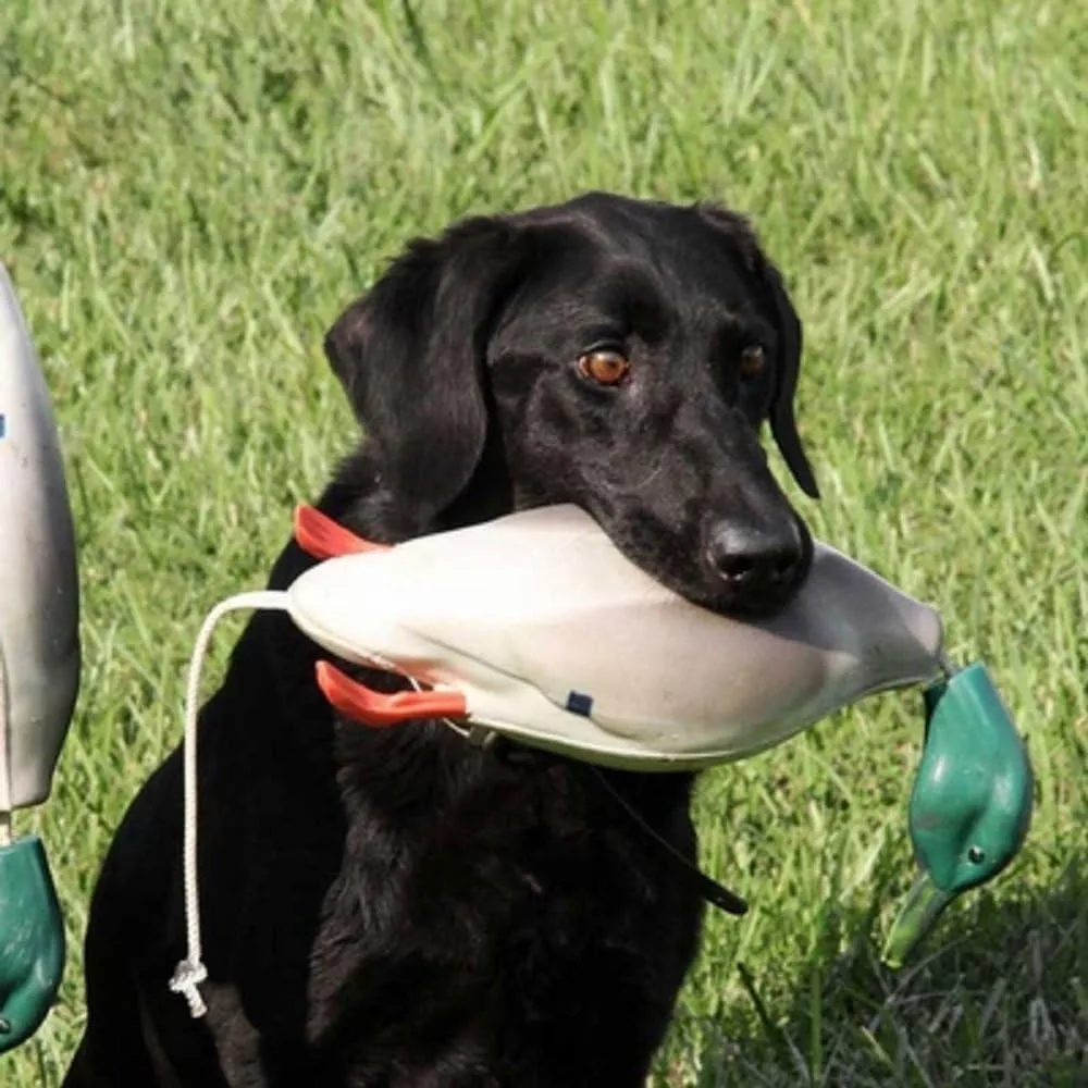 DokkenDead Fowl Duck Decoys for Hunting, Realistic Floating Mallard Decoys Set of 6 view 3
