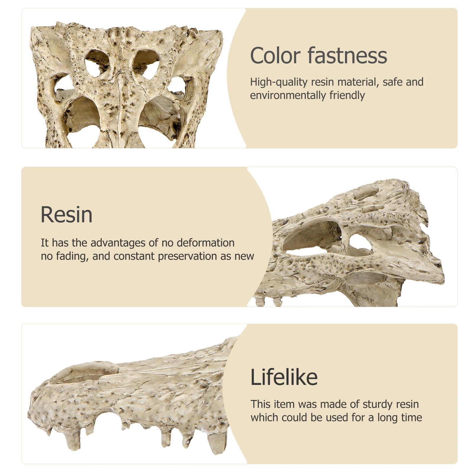 

1pc Sturdy Resin Dinosaur Crocodile Skull Lifelike Art Craft Aquarium Decoration Fish Tank Micro Landscape Ornament Desktop Fish