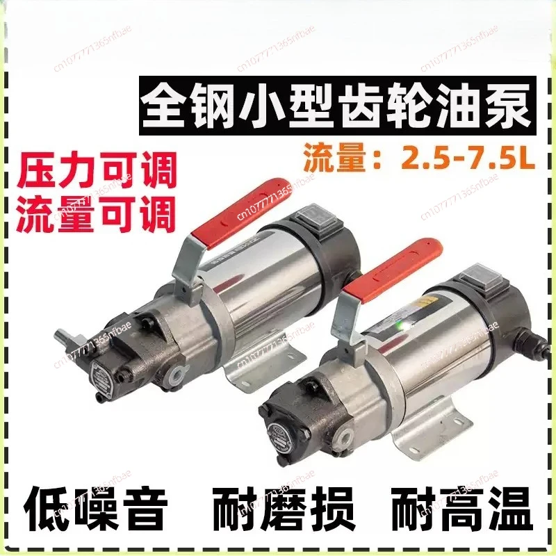 piccola-pompa-dell'olio-per-motore-dc-12v-24v-220v-pompa-dell'olio-a-ingranaggi-elettrica