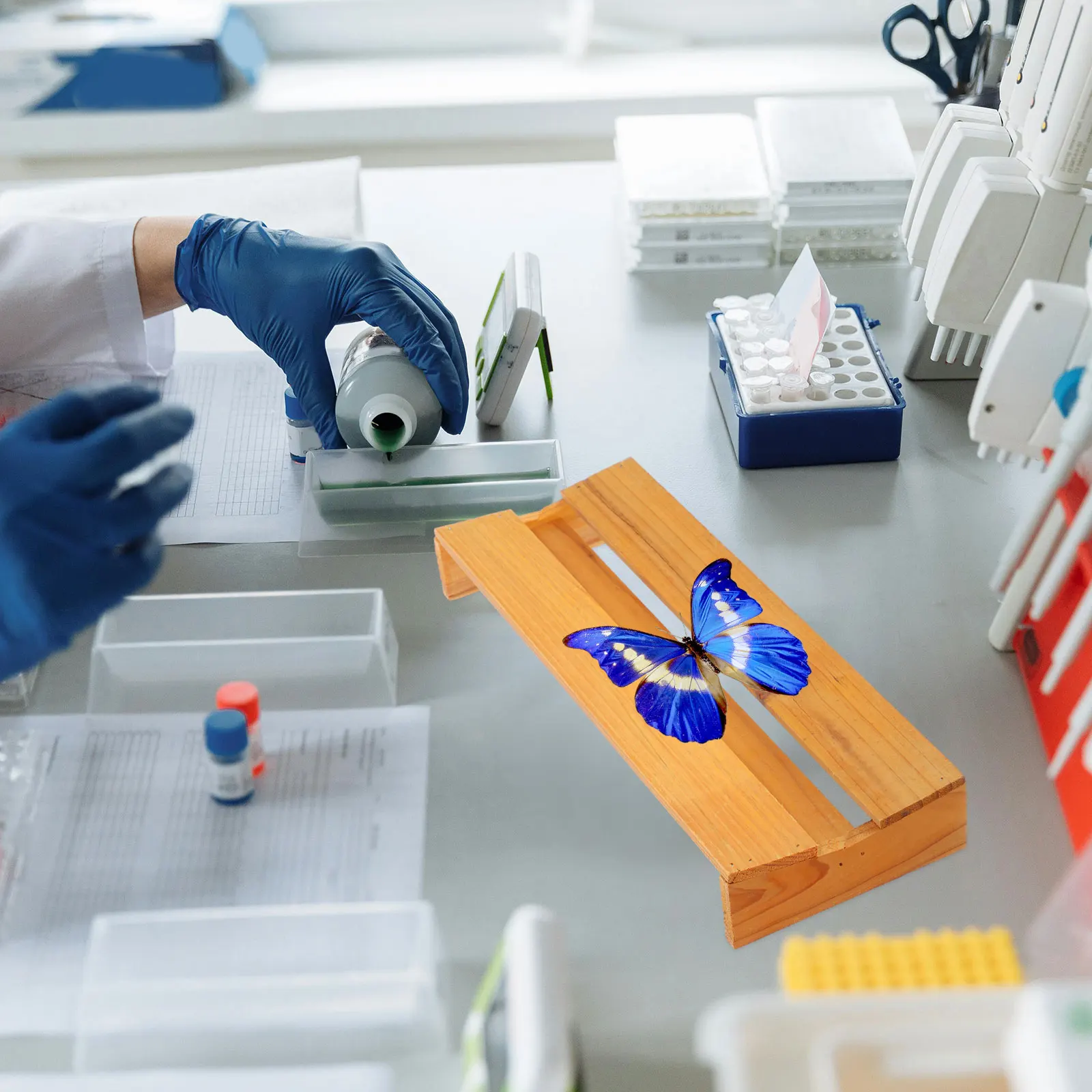 

Butterfly Spreading Board Specimen Display Pinning Yellow Fixed Plate Mounting Compact Biological Tool Parts