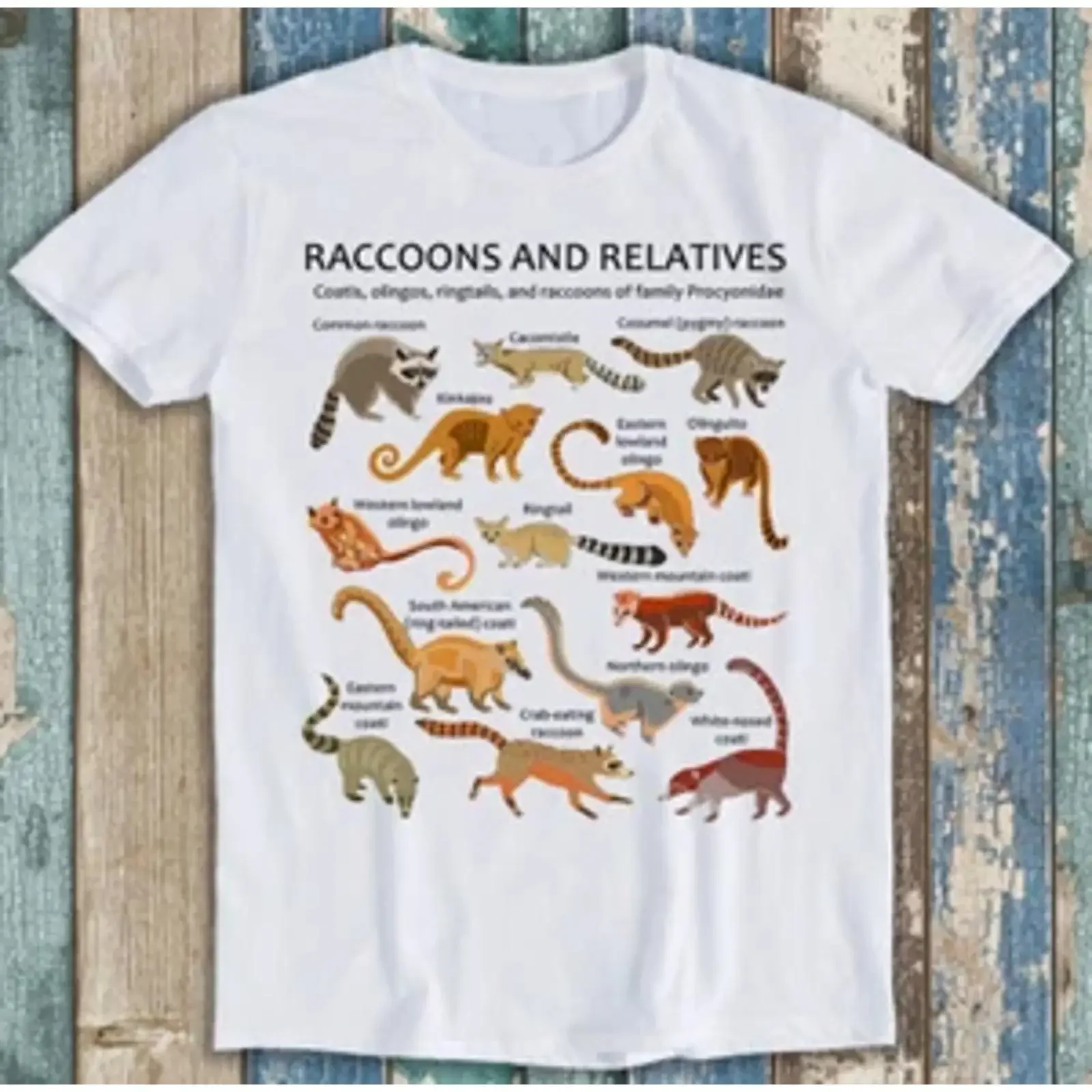 T-shirt Raccoons Related Raccoon Bestseller Funny M1477 vintage Washed homme Respirant Doux Unisexe Polyvalent Confortable