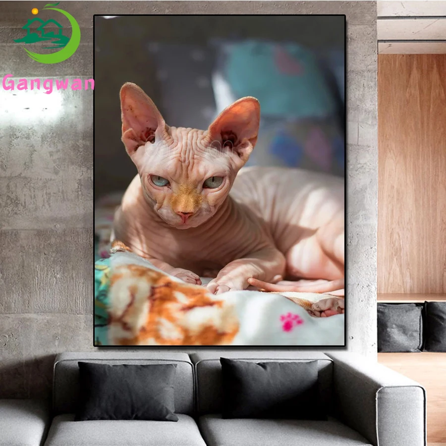 5D DIY diamond painting Sphynx cat art cross stitch full square round diamond Emeroidery mosaic painting cute pet home decor