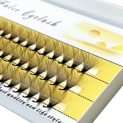 20D Cluster Eyelashes Natural Eyelash Extension 1 box/60 bundles Russian Individual Eyelash bunches Makeup Mink Lashes wholesale