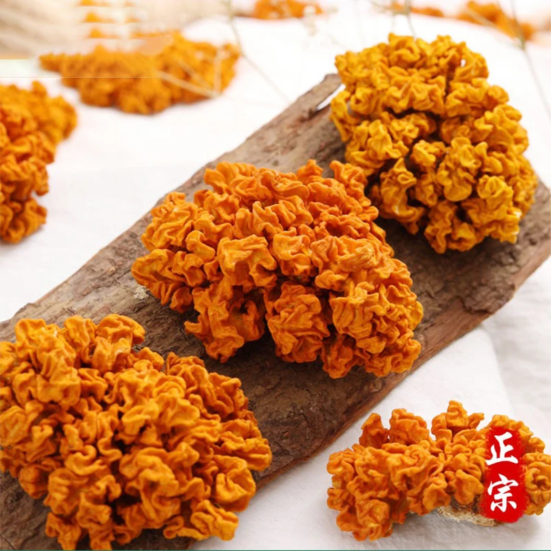 2024 New Yunnan Special Grade Wild Golden Ear Mushroom Dried Mushroom Yellow Ear Mushroom Simulation Photography Props