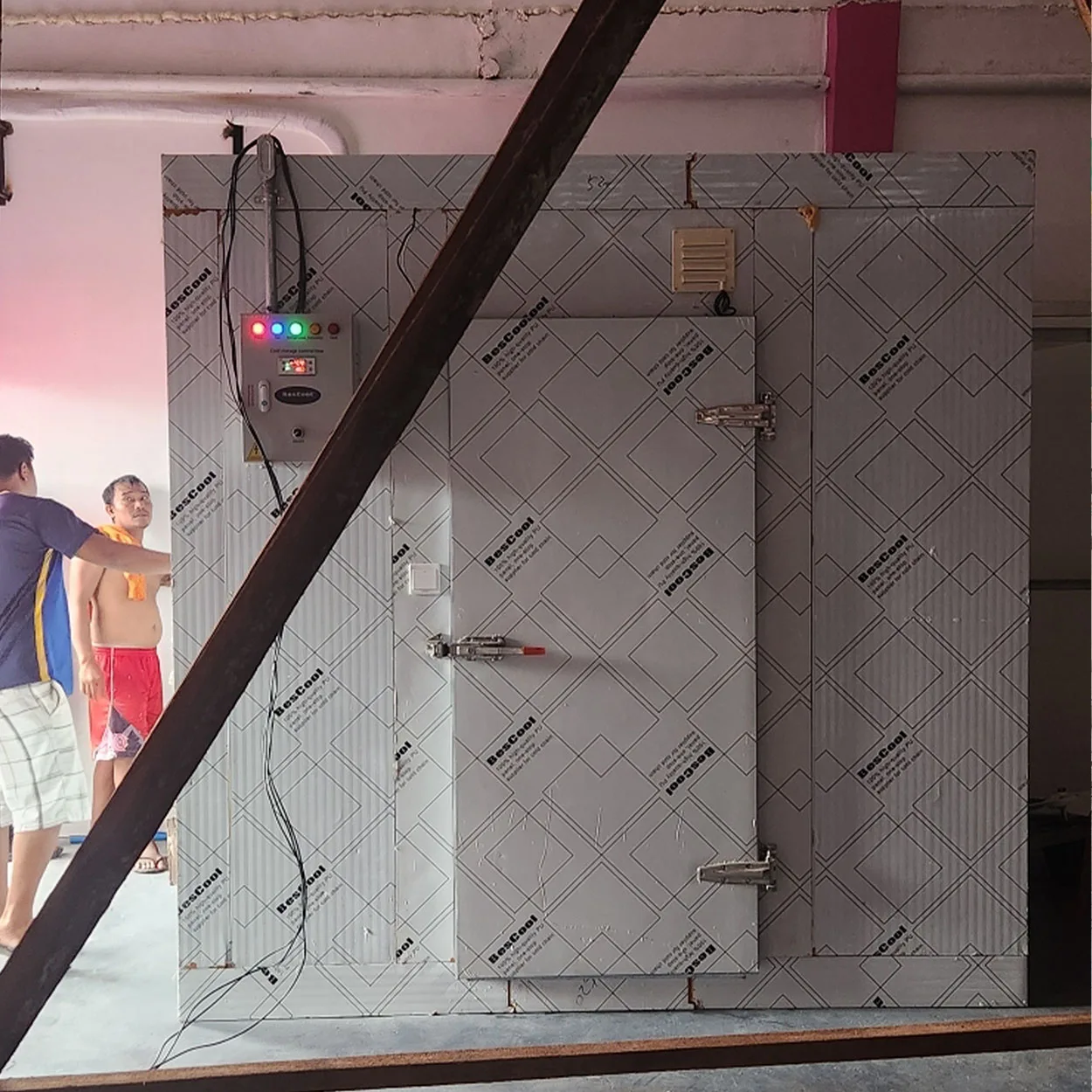 Vendita calda Congelatore a bassa temperatura Camminata nel congelatore Sala commerciale per celle frigorifere per vendita al dettaglio e in negozio