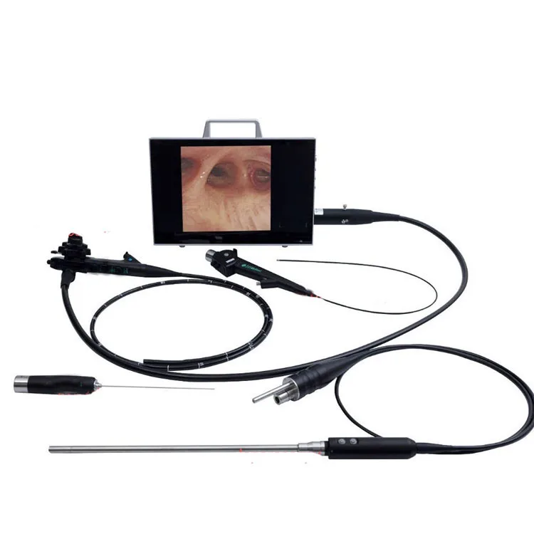 2026 New Veterinary Gastroenteroscope HD Camera System For Dog Cat Endoscopy Check
