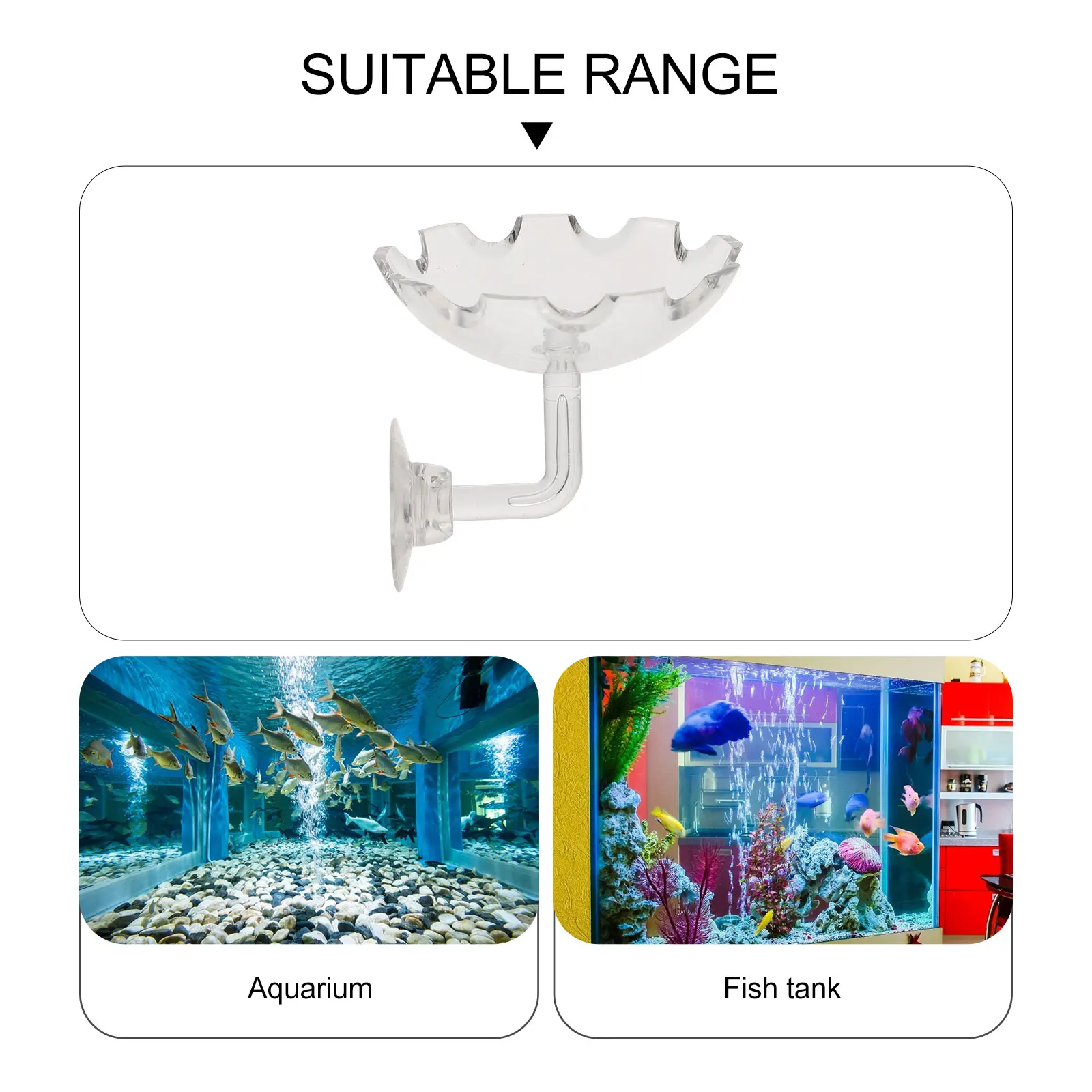 

2 Pcs Shrimp Feeding Dish Aquarium Supplies Acrylic Clear Feeder Decorative Trays Suction Cup Easy Install Long Use Practical