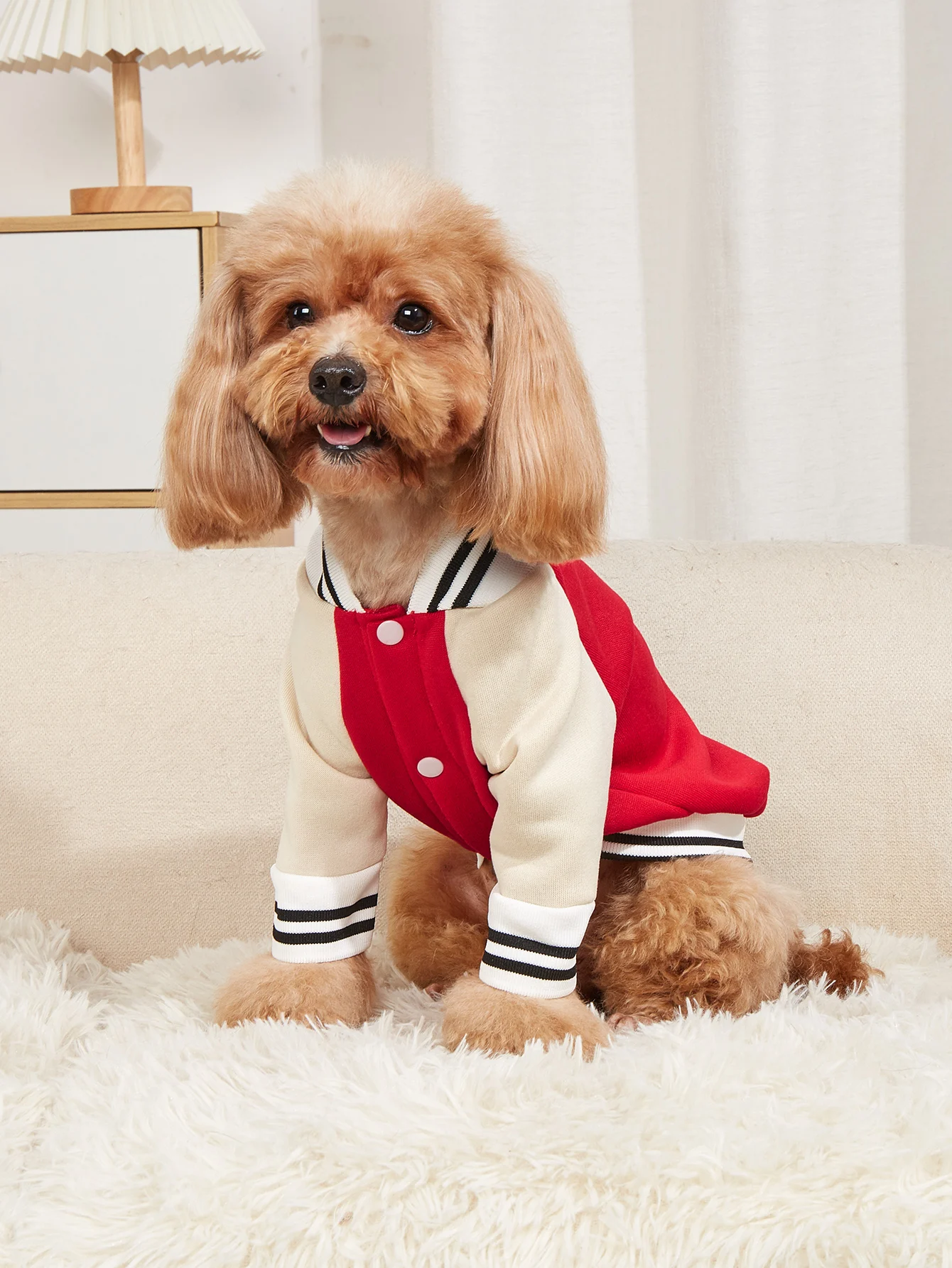 Pet clothes dog cat jacket warm and comfortable clothes with dinosaur print red apricot stitching new style