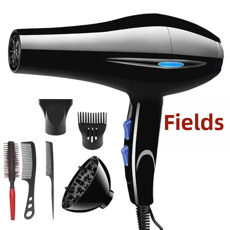 High Power Blu-Light Hair Dryer For Home Use Salon Quality Temperature Control Hair Protection Gift Item Professional Hairdryer