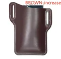 BROWN-BIG
