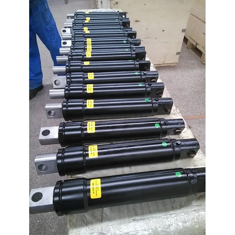 

Factory Price New Single Acting Type Hydraulic Ram Hollow Plunger Cylinders