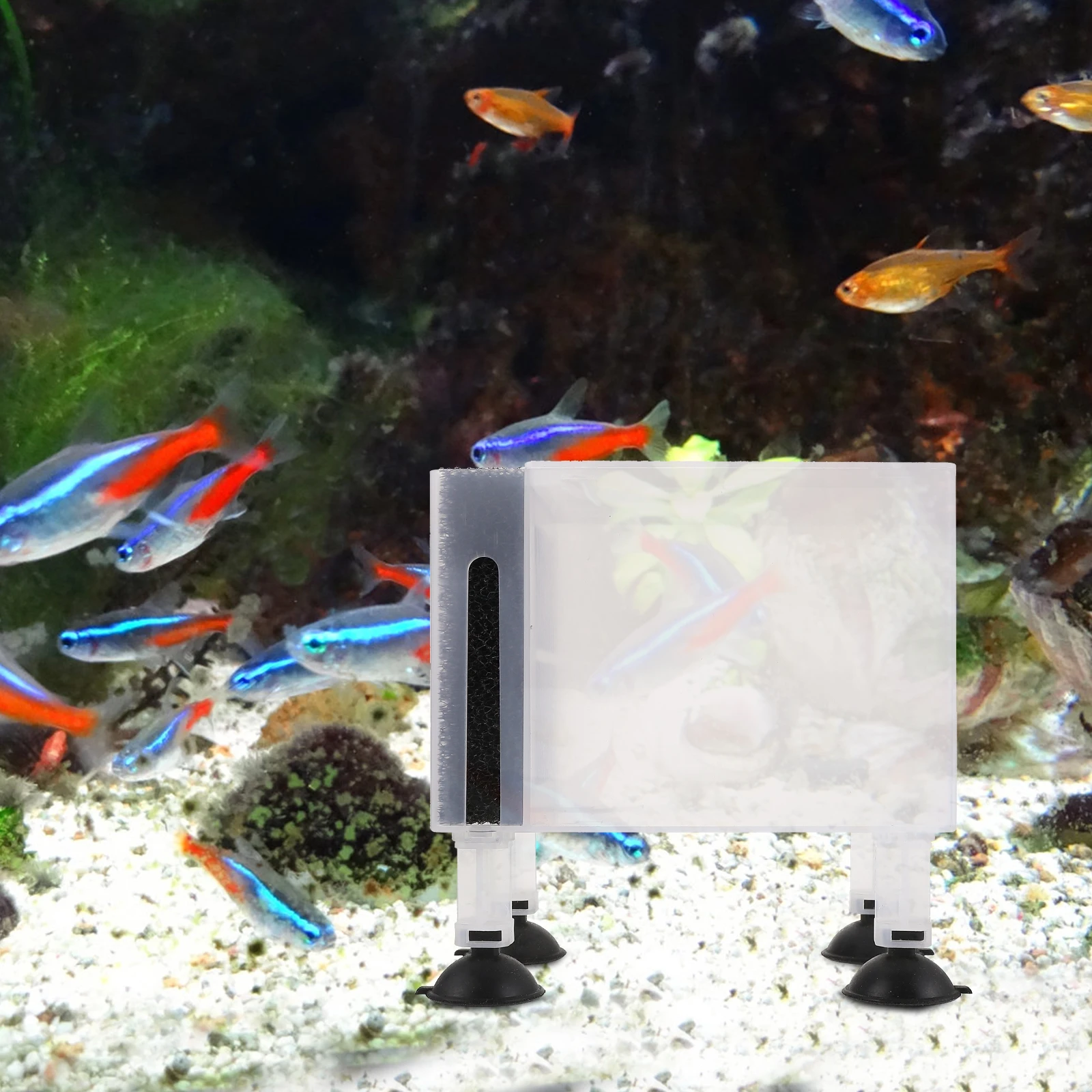 

1 pc Filter Box Transparent Heavy duty Plastic Household Container Compact for Fountain Aquarium Fish Pond