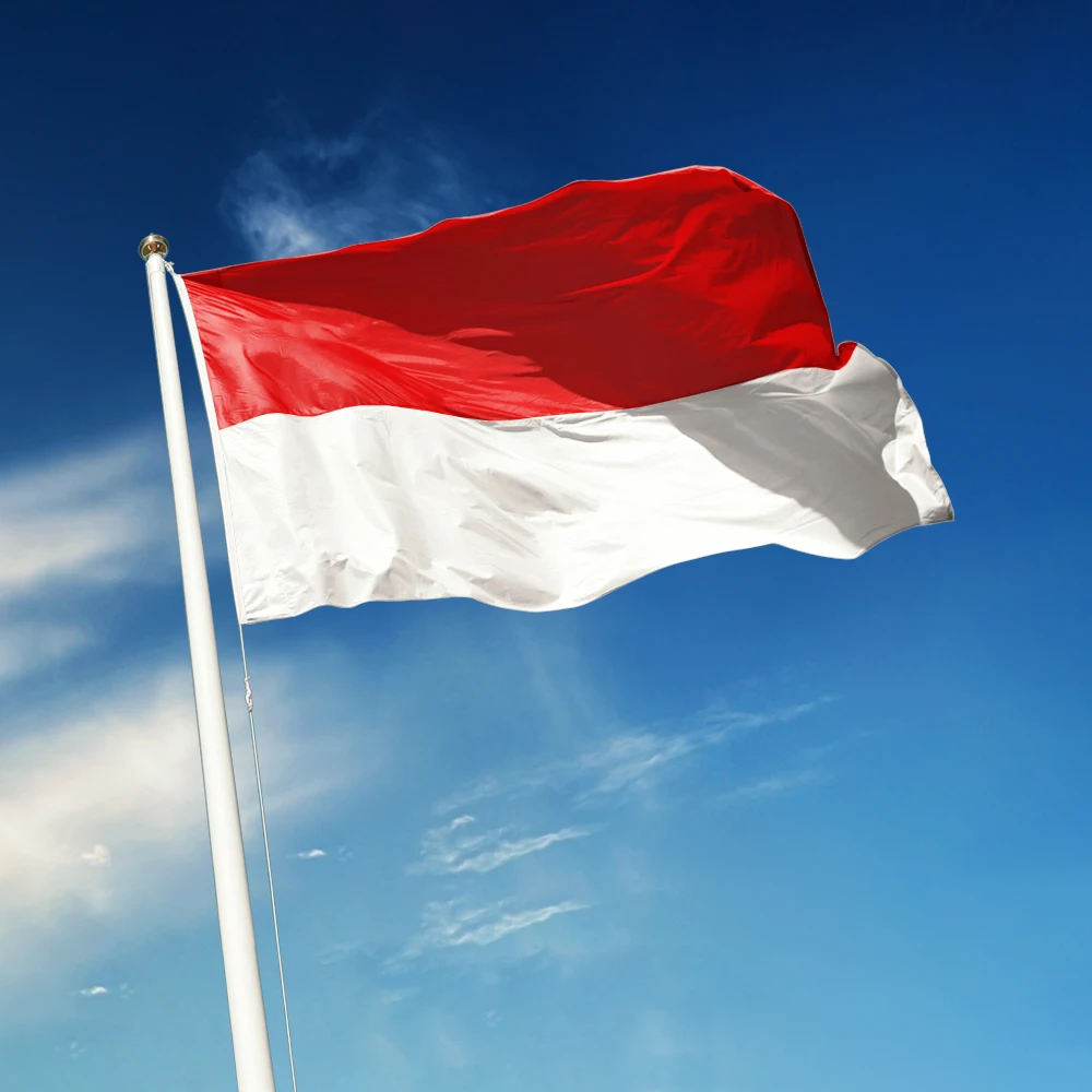 3x5 Ft Indonesia Flag Vivid Color and Fade proof Canvas Republic of Indonesia Flags Polyester with Brass Grommets 3 X 5 Ft