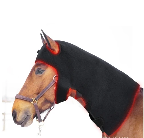 Pulse Wireless Horse head Leg Light Therapy 660nm 850nm Equine Therapy Red Light Therapy  for Horse