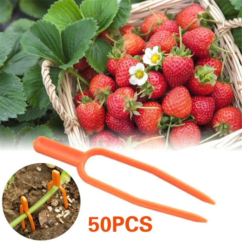 50Pcs Gardening Plant Fix U Shape Clips Reusable Garden Fixing Vine Fixer Watermelon Strawberry Fork Plastic Planting Pins