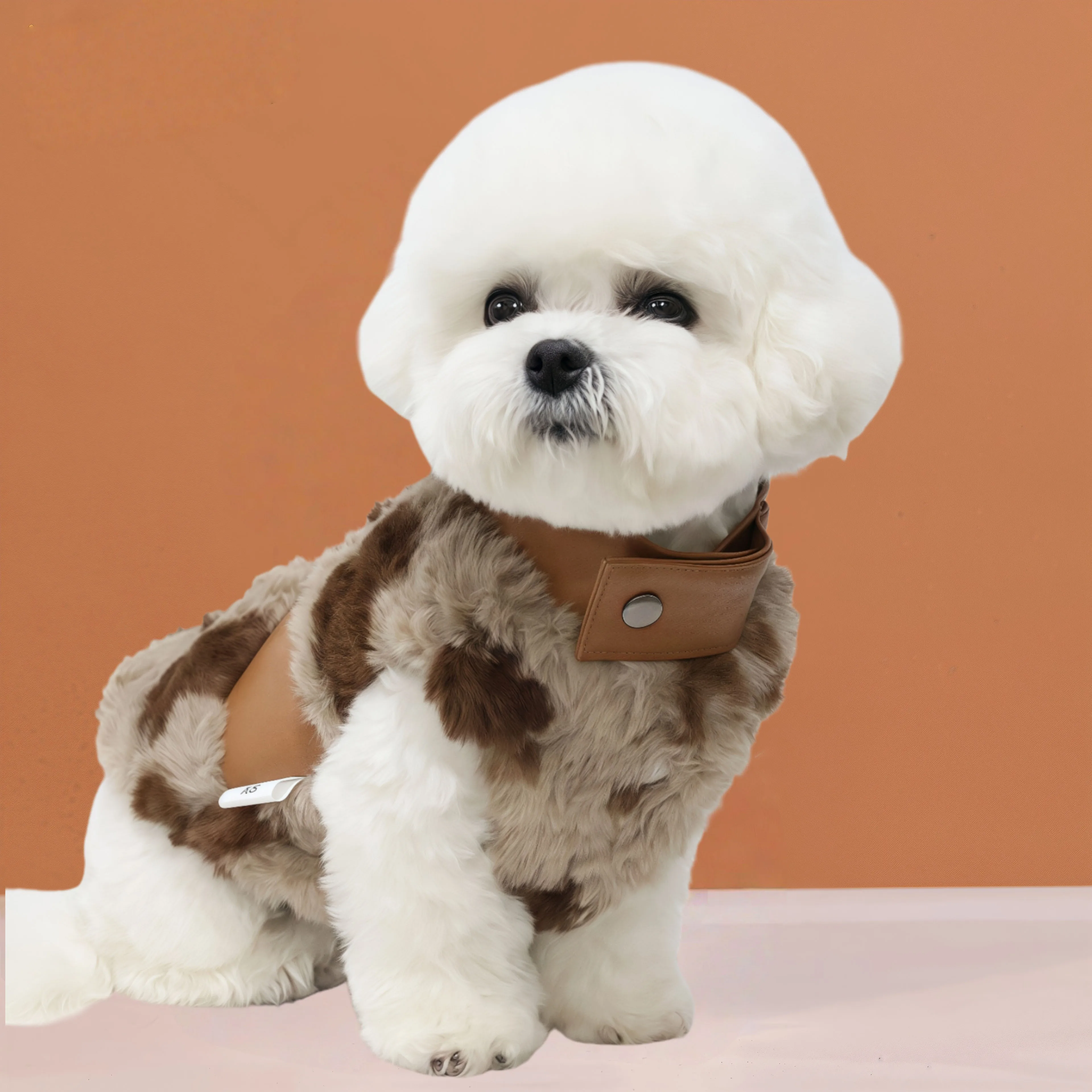 

Dog winter clothes Warm faux fur dog jacket leather trim collar cold weather small breed two legged outerwear Costume for dog
