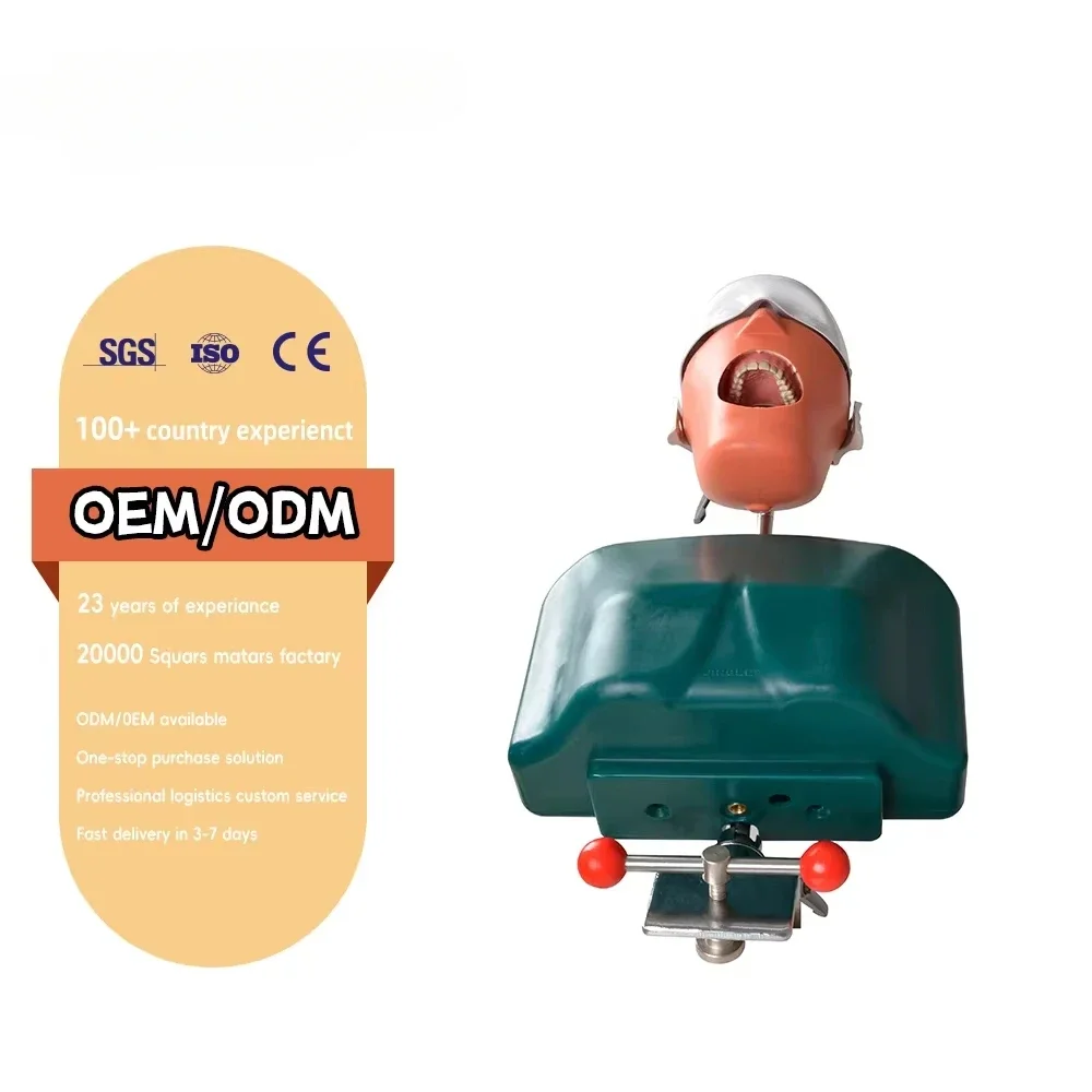 

Симулятор головы фантомной головы, магнитный симулятор челюсти