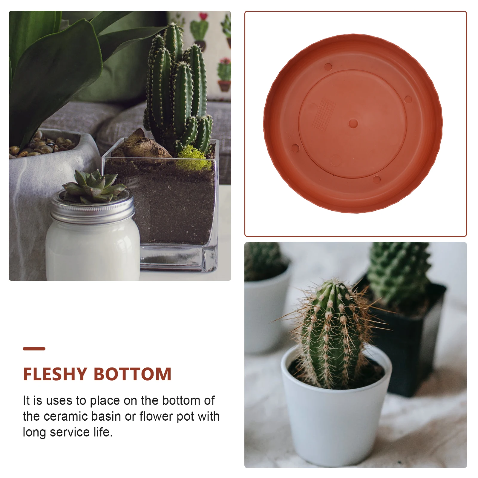 

5 Pcs Round Tray Durable Flowerpot Base Garden Plant Pots Saucers Terracotta Water Catcher Plates for Plants Succulents