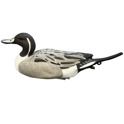 3D Plastic Duck Decoy Imitate Pheasant Duck Floating Decoy Weatherproof Decorations Floating Outdoor Garden Pond Park Lake