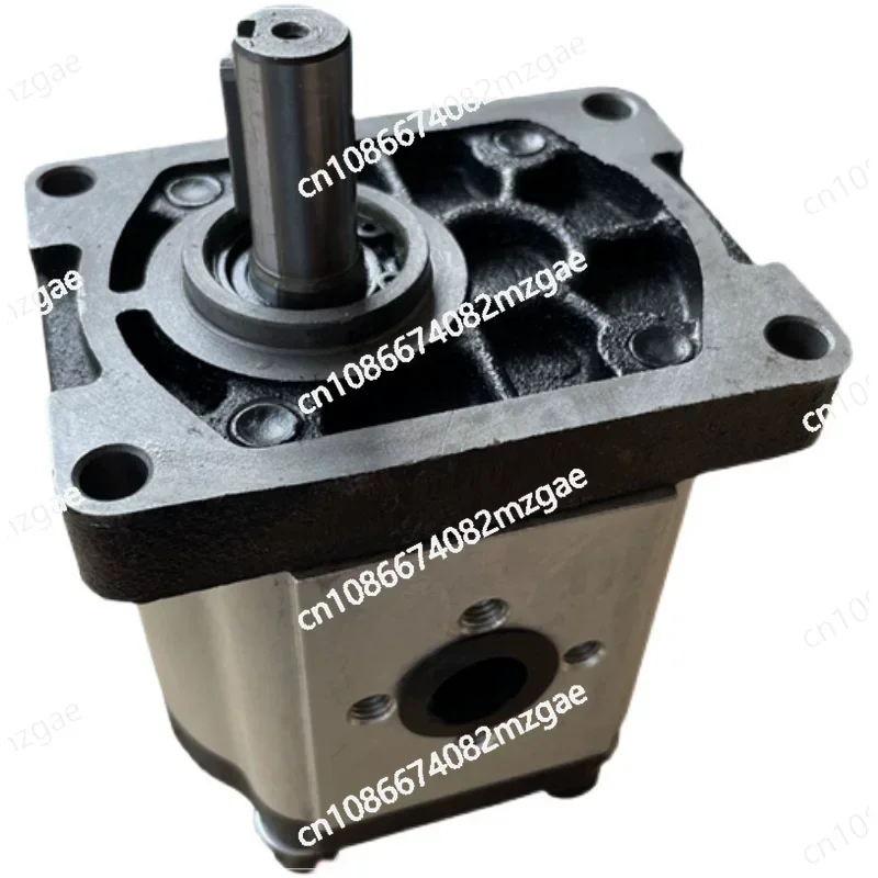 

Шестеренчатый насос WANKE CBN-G320 316 325, правый, одинарный, высокого давления, чугунный, передний и задний, для Vanke