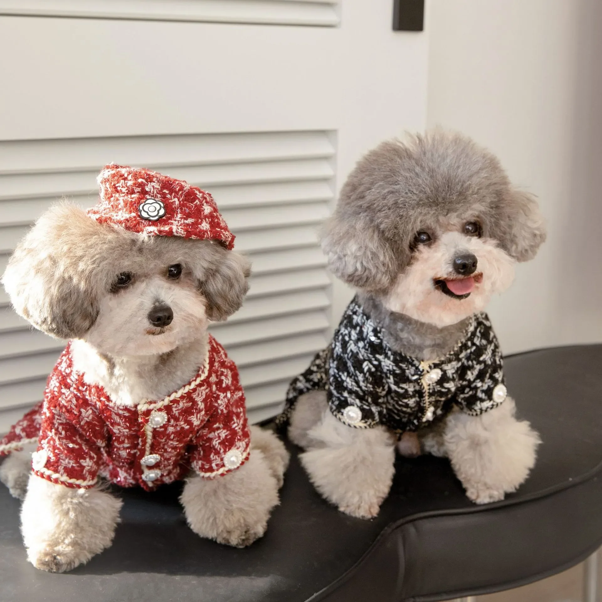 

Floral Dog Jacket & Matching Straw Hat Set Chic Poodle Outfit for Spring & Summer Daytime Strolling