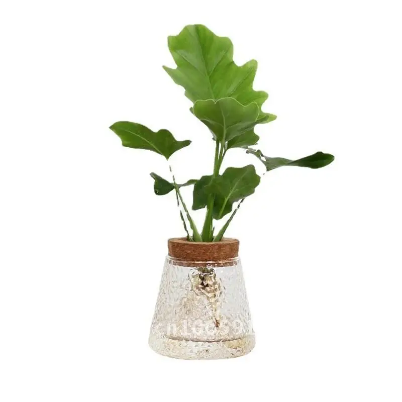 

Creative Hydroponic Plant Glass Vase Handmade Hammered Volcanic Jar Eco-Friendly Clear Borosilicate Decorative