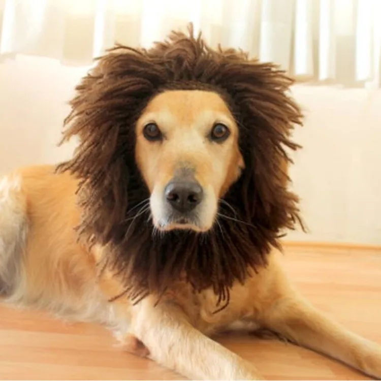 22 New Dog Wig Golden Lion Head Style Funny Dress Handmade Halloween Pet Headgear